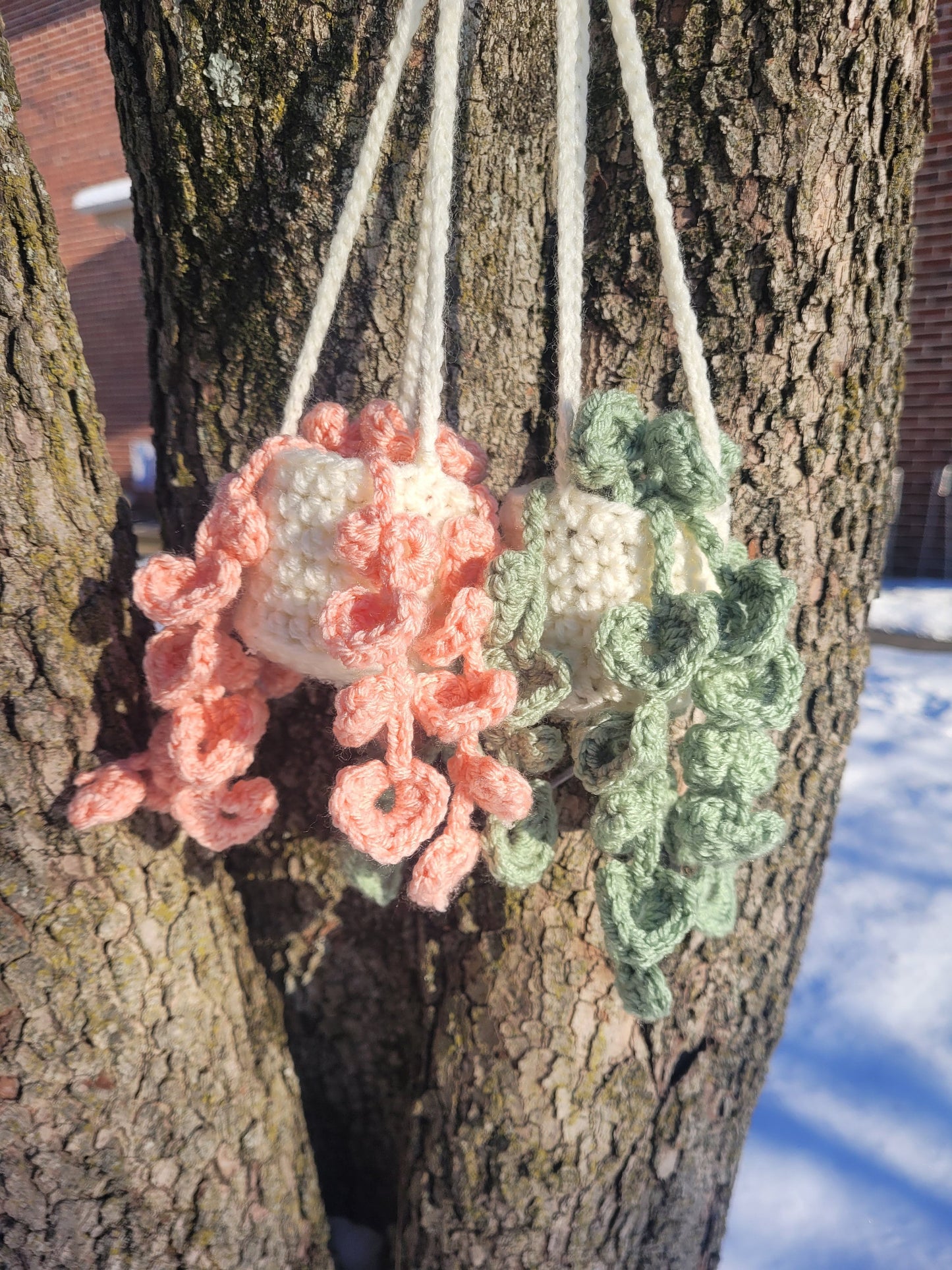 Mini string of hearts pattern PDF, Crochet plant pattern, Hanging plant pattern