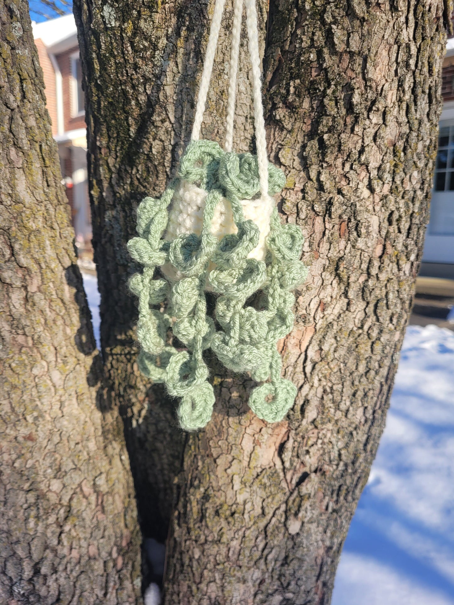 Mini string of hearts pattern PDF, Crochet plant pattern, Hanging plant pattern