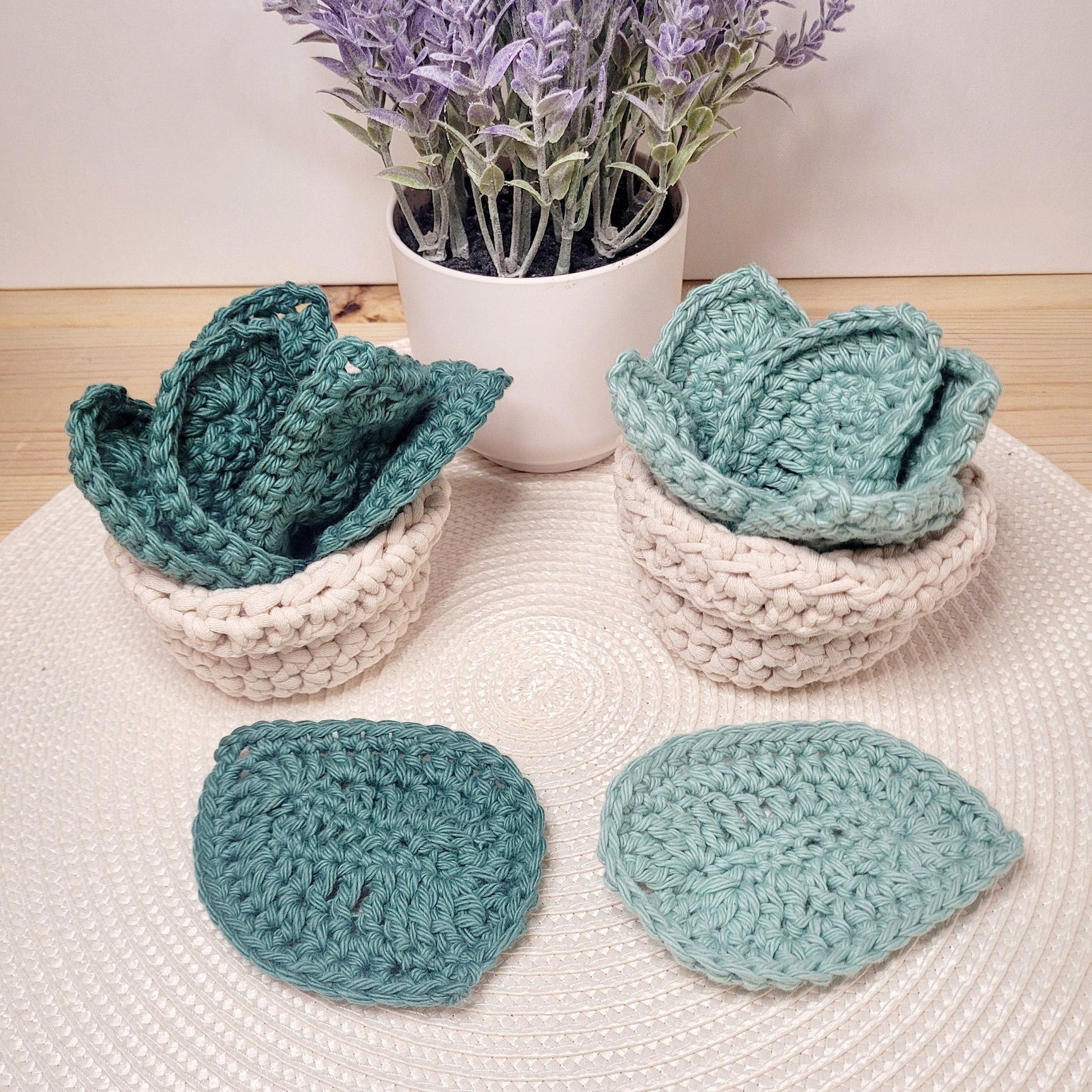 succulent coaster set crochet Crochet plant coaster set – The Frantic Owl