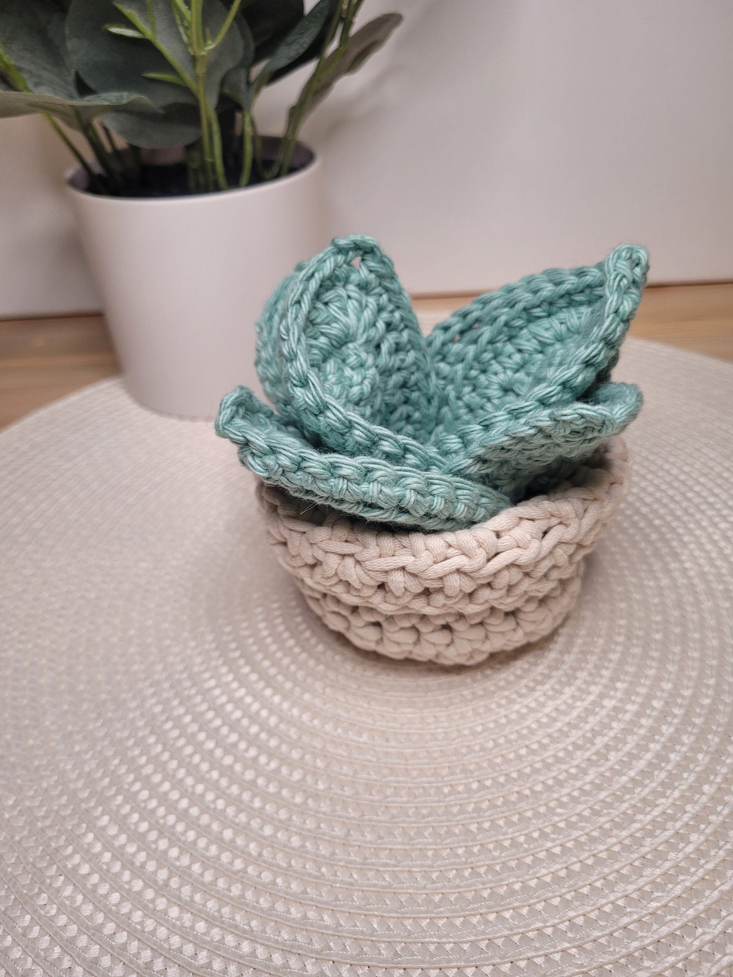 Crochet plant coaster set